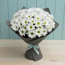Букет белые хризантемы #REPLACE_PRED# Орешки Букет цветов из:  Хризантемы #REPLACE_PRED# Орешки